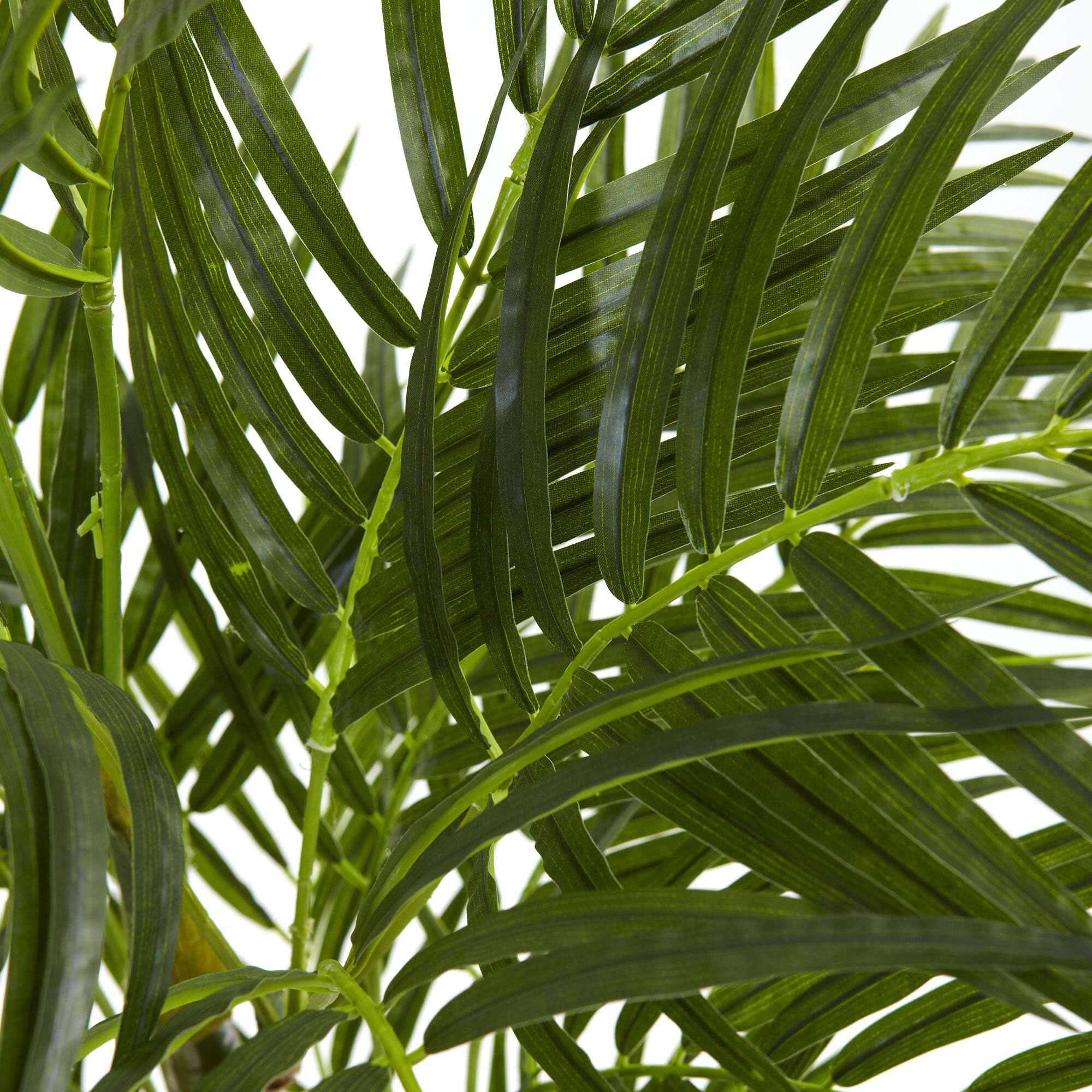 3.5ft. Potted Areca Palm